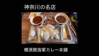 【横須賀海軍カレー本舗】カレー好きなら負けられない戦い