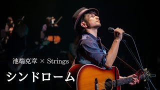 シンドローム/池端克章×Stringsコンサート【北九州芸術劇場大ホール】