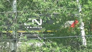 CN 5454 L519 Power Move Arrival at West Ladysmith on 7-18-22