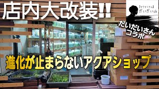 店内大改装＆ギャラリー新設‼　進化が止まらないアクアショップの9th anniversary　aquarium　アクアリウム　【AQUA Revelation J.B. (旧白猫)】