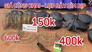 Lụp bẫy chim bìm bịp/ Lồng Bẫy chim Bìm bịp/ Loa gọi / Chim giả nhồi keo giá Rẻ mẫu mới nhất 2025.