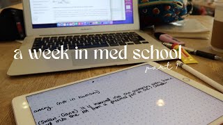 🧚🏽‍♀️ a week of medical school | commuting | speaking Dutch 🌱