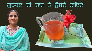 ਗੁੜਹਲ(ਹਿਬਿਸਕਸ) ਦੀ ਚਾਹ ਤੇ ਉਸਦੇ ਫਾਇਦੇ || hibiscus tea recipe and its benefits in punjabi