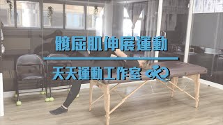 髖屈肌伸展運動｜天天運動工作室Everyday Fitness Studio｜高雄健身房