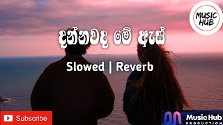 Dannawada Me As | දන්නවද මේ ඇස් | Slowed | Reverb