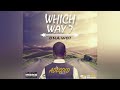 AdeGold _vibes WHICH WAY (official music) 🎵