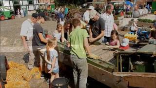 Historische Kartoffelernte 2016 Teil 3