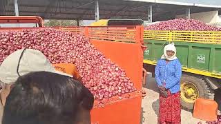 sirajgaon onion market 7-2-2025. new red onion. MP traders sirajgaon kopargaon. 9922145773