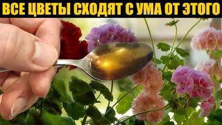 ВНЕСИ под любой цветок и он попрёт цвести как бешеный! Даже самый чахлый куст оживет, позеленеет!