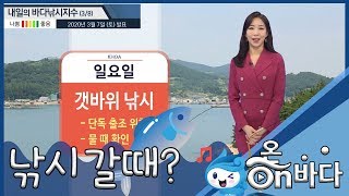 [바다낚시지수] 2020년 3월 8일 대체로 보통지수, 몇몇 포인트 바람 강해요 / 해양방송 On바다