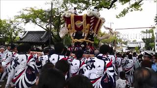 百舌鳥八幡宮秋祭り　陵南町ふとん太鼓　　宮入　本殿前（２０１８年９月２２日）－５