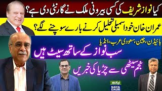 Shehbaz Can Renegotiate IMF Deal | Foreign Support For Nawaz Sharif? | World Thinks Imran Unstable