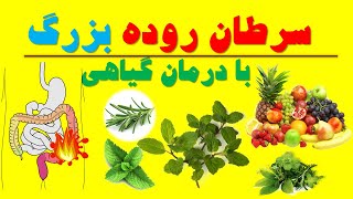 روشهای پیشگیری و درمان سرطان روده بزرگ با طب گیاهی