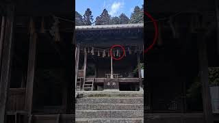 安田稲荷神社 #Shorts