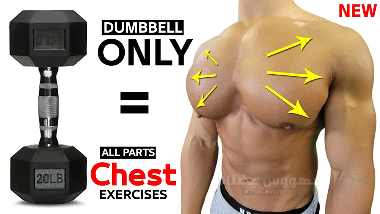 14 BEST CHEST EXERCISES WITH DUMBELLS ONLY 🎯 - YouTube