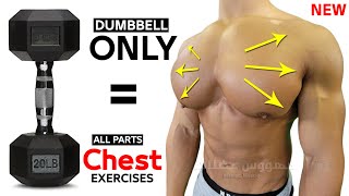 14 BEST CHEST EXERCISES WITH DUMBELLS ONLY 🎯