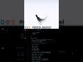 Reptile upgraded 2.O | HTML | CSS | Js | #trending #shorts #animation #ai #learning #creative