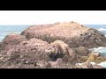 山陰・山陽マイカーの旅⑭ （元乃隅神社・龍宮の潮吹）