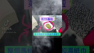 金順衛生工程行 通水管 通馬桶 抽水肥 洗水塔 中壢通水管桃園通水管平鎮通水管龍潭通水管新屋通水管觀音通水管楊梅通水管八德通水管大園通水管蘆竹通水管龜山通水管大溪通水管