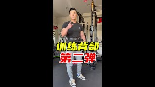 吴龙——练不出宽厚的v字背肌？