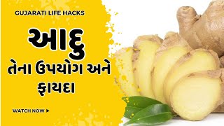 આદું (Ginger) | ઉપયોગો અને ફાયદાઓ | Gujarati Life Hacks