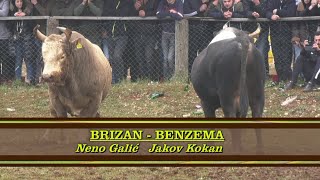 BRIZAN Neno Galić vs BENZEMA Kokani, DICMO 2023