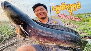 ត្រីឆ្តោគីឡូធ្ងន់ នៅព្រែកតាមាក់