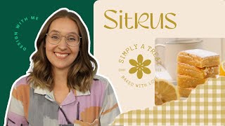 Full brand design process - Logo and packaging design for Sitrus