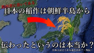 日本の稲作は朝鮮半島から伝わったというのは本当か？　日本人はどこから来たのか？－外伝－