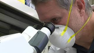 PAÍS Computational Genomics & Technology