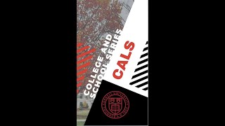 College of Agriculture and Life Sciences Instagram Spotlight!