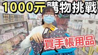 【挑戰】1000元五倍劵買手帳用品 買了好物還是雷物?[NyoNyoTV妞妞TV]