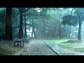 An incessant Downpour. Rain sound puts you to sleep right away, Beat insomnia, Help Relax