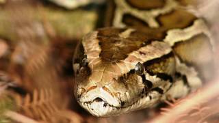cx_freeze python 3.6