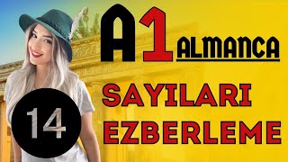 14. Ders | [A1] | Almanca Sayıları Ezberleme