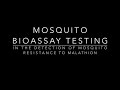 Mosquito (Malathion) Bioassay Technique