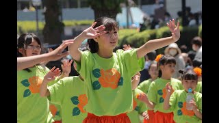 20220503ザよこはまパレード2022（CAN Dance Factory）第70回横浜国際仮装行列