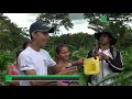 estudia agronomía por encentro en la una sede juigalpa