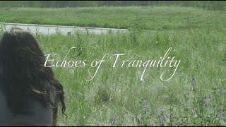 Escape the Chaos - Find Serenity in Slow Living this Summer