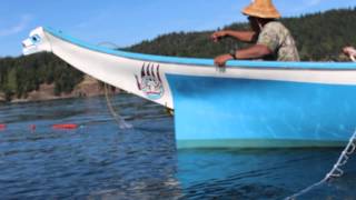 To Fish As Formerly: W̱SÁNEĆ Nation Brings Reef Net Fishing Back After 100 Years