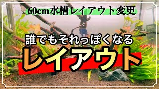 60cm水槽レイアウト変更！初心者でもそれっぽく【アクアリウム】