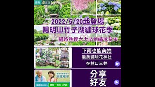 2022陽明山竹子湖繡球花季｜5/20起繽紛紫粉花海盛開！排行熱搜6大必訪花田/花藝DIY/交通懶人包