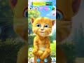 Funny LoL Cat Cute Kitten Ginger