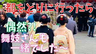 🌸都をどり🌸祇園甲部歌舞練場 に行って来ました~舞妓さんや外国人観光客の観覧で大賑わいです❗Maiko Gion Kyoto Japan