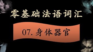 法语零基础入门 词汇拓展 07  身体器官篇