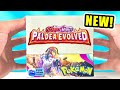 *NEW* Pokemon Paldea Evolved Booster Box Opening