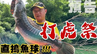 魚虎系列｜撈魚虎條兼搞大魚虎！