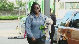 Greyhound Apologizes After Woman, Service Dog Denied Service