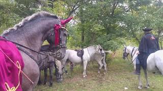 Szüreti felvonulás/Vintage procession 2018 - Kunpeszér