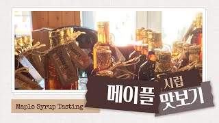 메이플시럽 맛보기 Maple Syrup Tasting